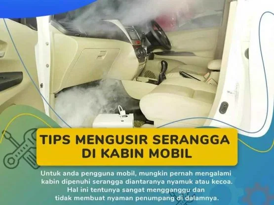 mengusir serangga dalam kabin mobil